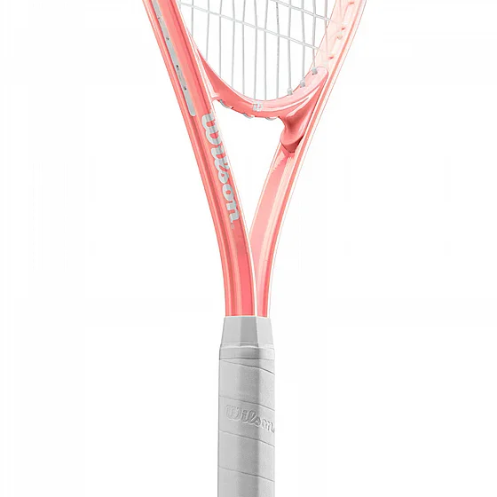 ���� ���� | Envy xp Lite